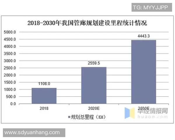 聚焦CSGOTES的速度话题探讨与未来发展趋势分析