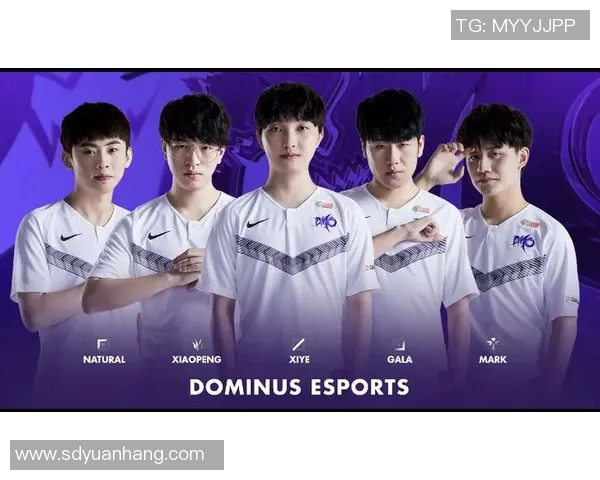 深入解析BLG战队电竞比分数据展现实力与表现的全景分析