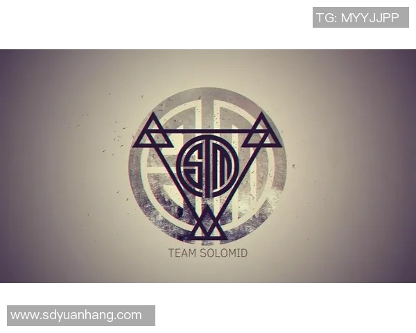 深入分析英雄联盟FPX战队的技术策略与战术执行