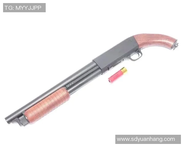 DOTA2焦点JDG的快速崛起与战术创新分析