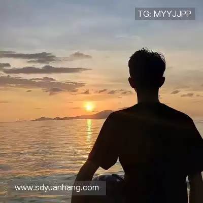 宋舒煜